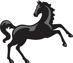Lloyd Bank Logo
